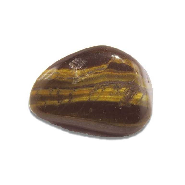 Tigerauge Mag. Brigitte Reinberger